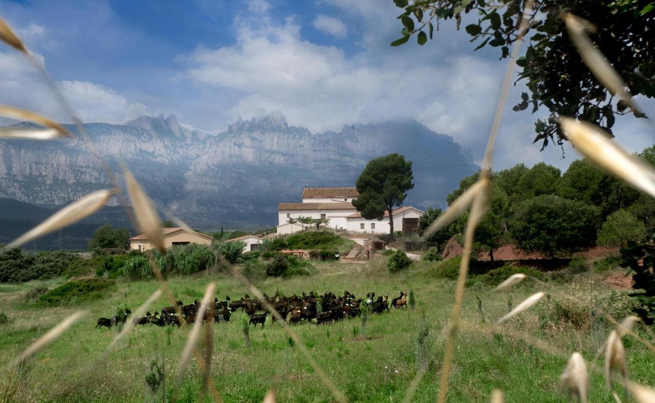 La Frasera Alojamiento Rural Vacarisas Exterior foto